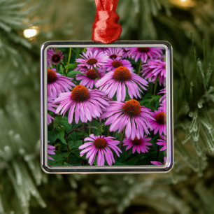 Flowers Pink Coneflower Garden Metal Ornament
