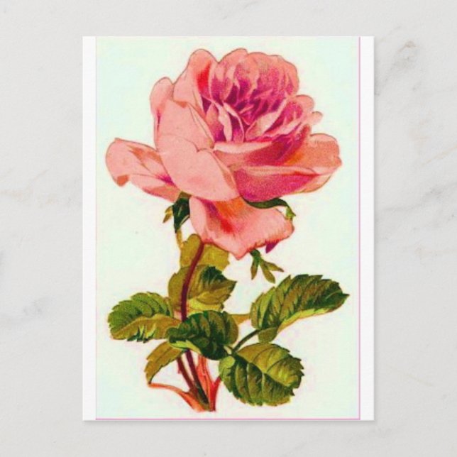 Flowers Postcard (Front)