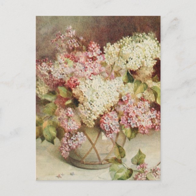 Flowers Postcard (Front)
