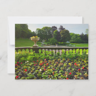 Flowers Postcard
