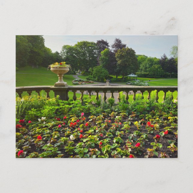 Flowers Postcard (Front)
