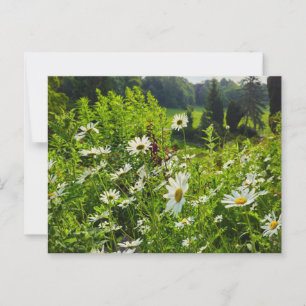 Flowers Postcard
