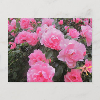 flowers postcard