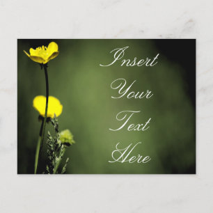 Flowers Postcard