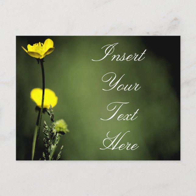 Flowers Postcard (Front)