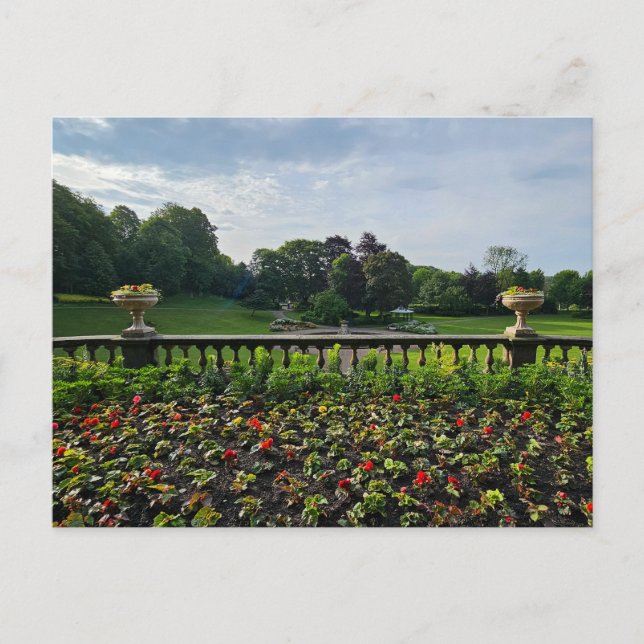 Flowers Postcard (Front)