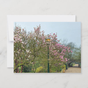 Flowers Postcard