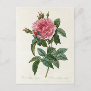 Flowers Postcard 11