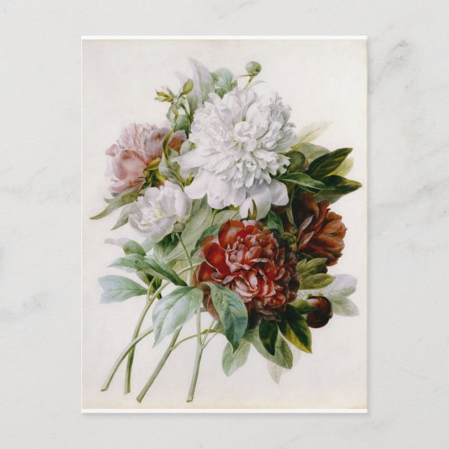 Flowers Postcard 15 (Front)