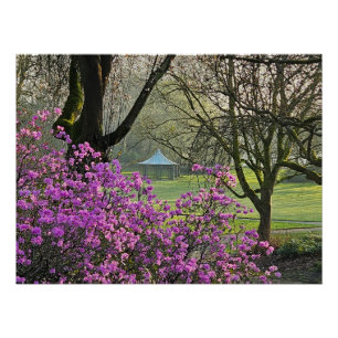 Flowers Poster