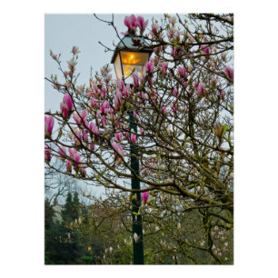 Flowers Poster