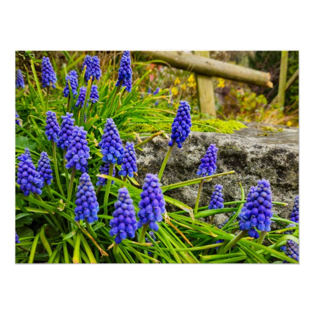 Flowers Poster (Front)