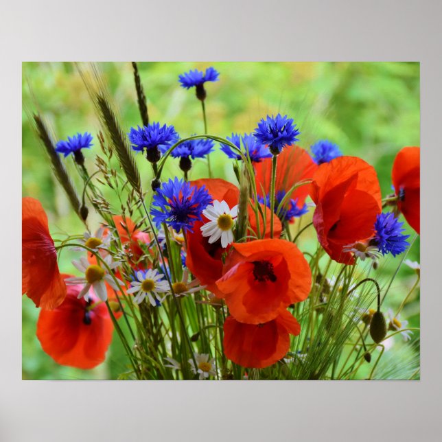 Flowers Poster (Front)
