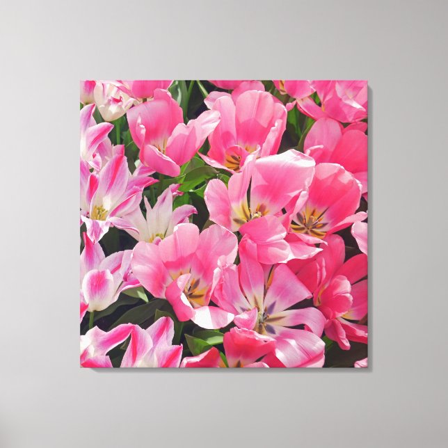 Flowers Power 6 Canvas Print (Front)