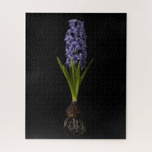 Flowers   Purple Hyacinth Bulb Jigsaw Puzzle