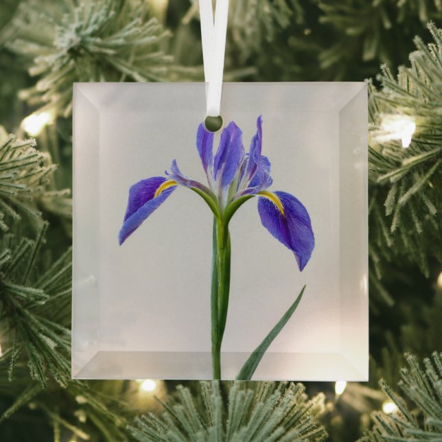 Flowers | Purple Iris Flower Glass Ornament (Insitu)