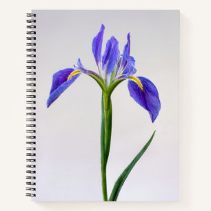 Flowers   Purple Iris Flower Notebook