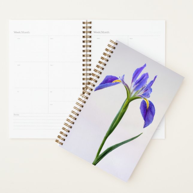 Flowers | Purple Iris Flower Planner (Display)