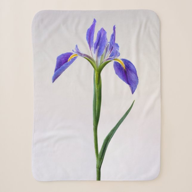 Flowers | Purple Iris Flower Sherpa Blanket (Front)