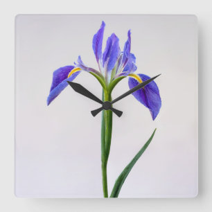 Flowers Purple Iris Flower Square Wall Clock