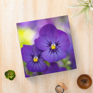 Flowers   Purple Pansies Binder