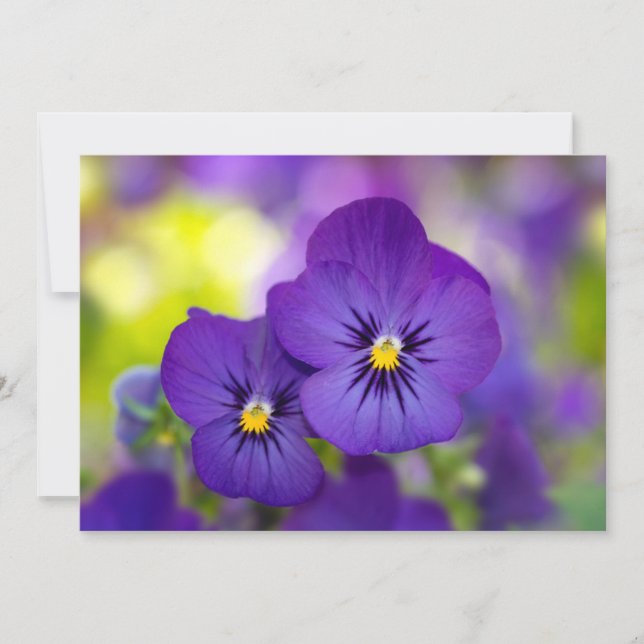 Flowers | Purple Pansies Thank You Card (Front)