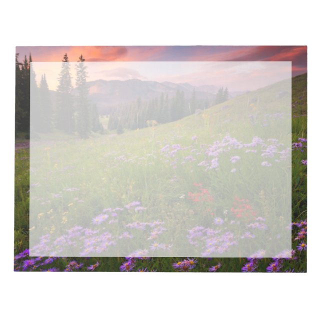 Flowers | Purple Wildflowers Colorado Notepad (Front)