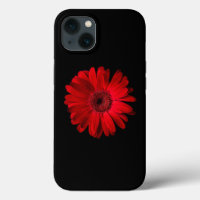 Flowers | Red Gerbera Daisy