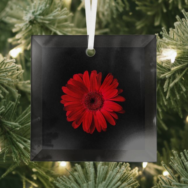 Flowers | Red Gerbera Daisy Glass Ornament (Insitu)