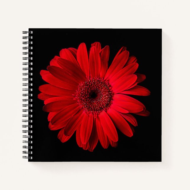 Flowers | Red Gerbera Daisy Notebook (Front)