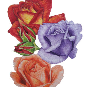 flowers red roses and rose buds floral art throw pillow