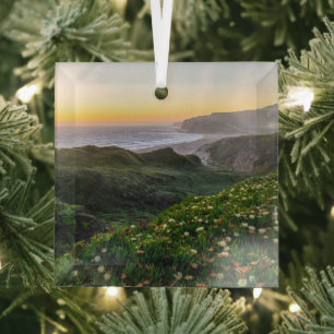 Flowers   Santa Cruz California Glass Ornament