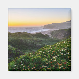 Flowers Santa Cruz California Magnet