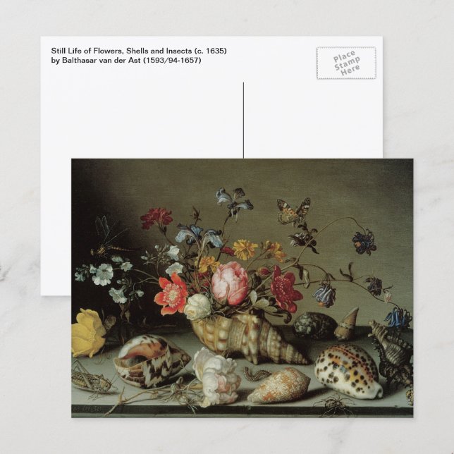 Flowers, Shells and Insects Balthasar van der Ast Postcard (Front/Back)