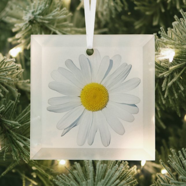 Flowers | Single Daisy Glass Ornament (Insitu)