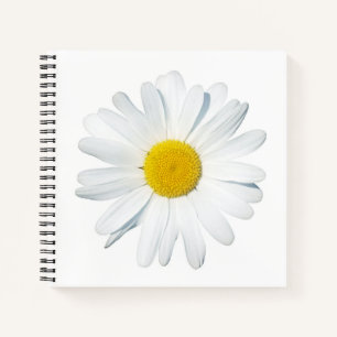 Flowers Single Daisy Notebook