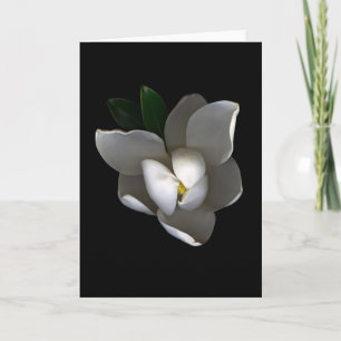 Flowers Single White Magnolia Blossom Card