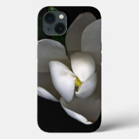 Flowers | Single White Magnolia Blossom