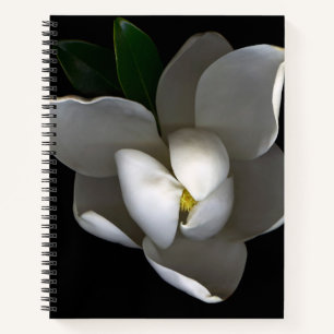 Flowers   Single White Magnolia Blossom Notebook