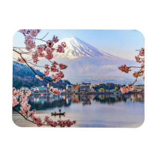 Flowers   Spring Cherry Blossoms Japan Magnet