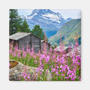 Flowers   Summer Matterhorn Switzerland Magnet