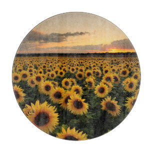 Flowers   Sunflower Field Cutting Board