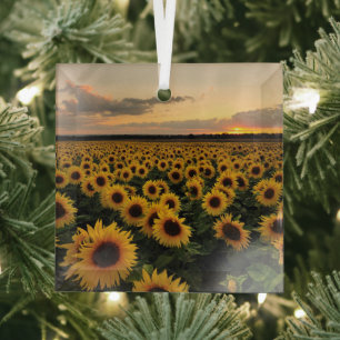 Flowers Sunflower Field Glass Ornament