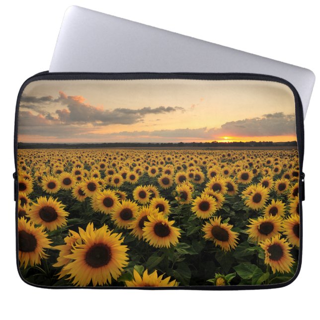 Flowers | Sunflower Field Laptop Sleeve (Front)