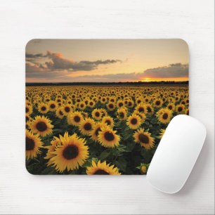 Flowers   Sunflower Field Mouse Pad