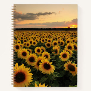 Flowers   Sunflower Field Notebook