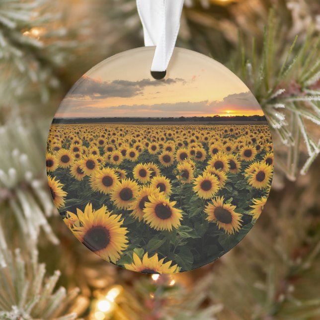 Flowers | Sunflower Field Ornament (Tree)