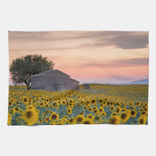 Flowers Sunflower Field Provence, France Kitchen Towel