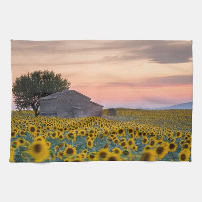 Flowers | Sunflower Field Provence, France Kitchen Towel (Horizontal)
