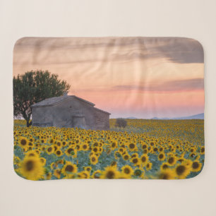 Flowers   Sunflower Field Provence, France Sherpa Blanket